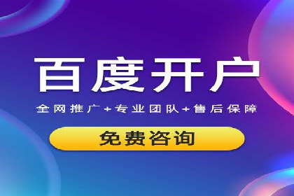 竞价广告端口开户的典型案例剖析